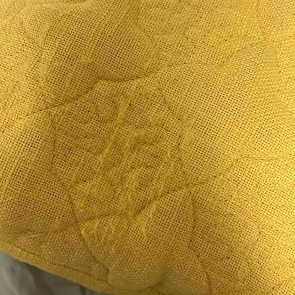 Crate & barrel throw pillow